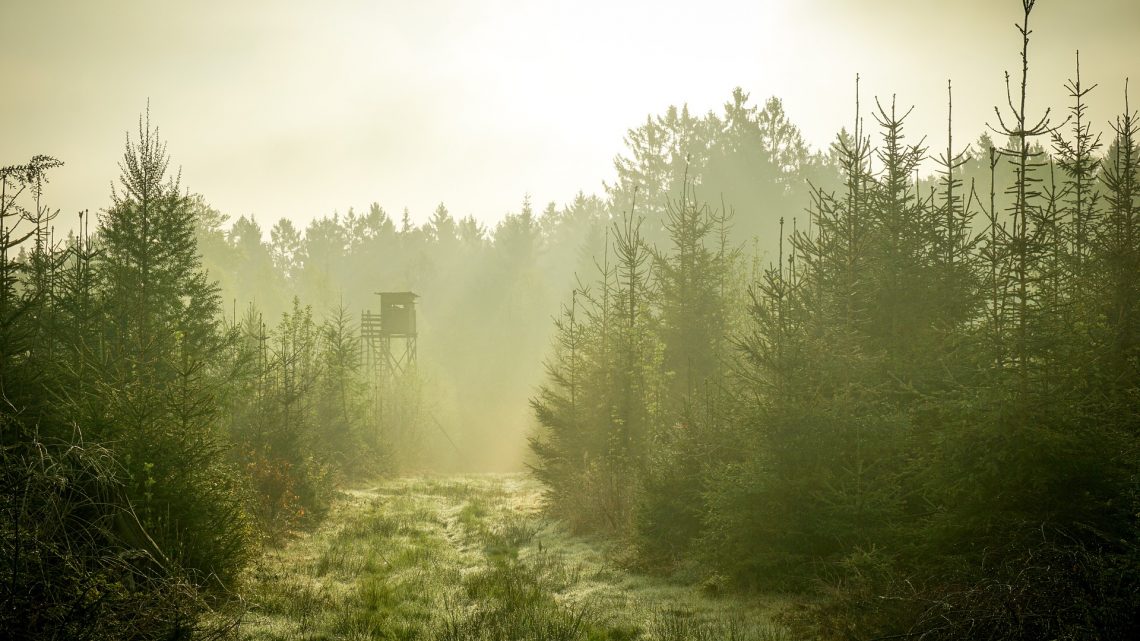 Être bien équipé pour partir à la chasse